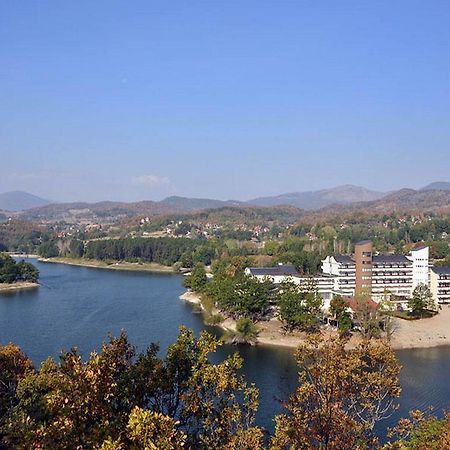 Hotel Jezero 보르 외부 사진