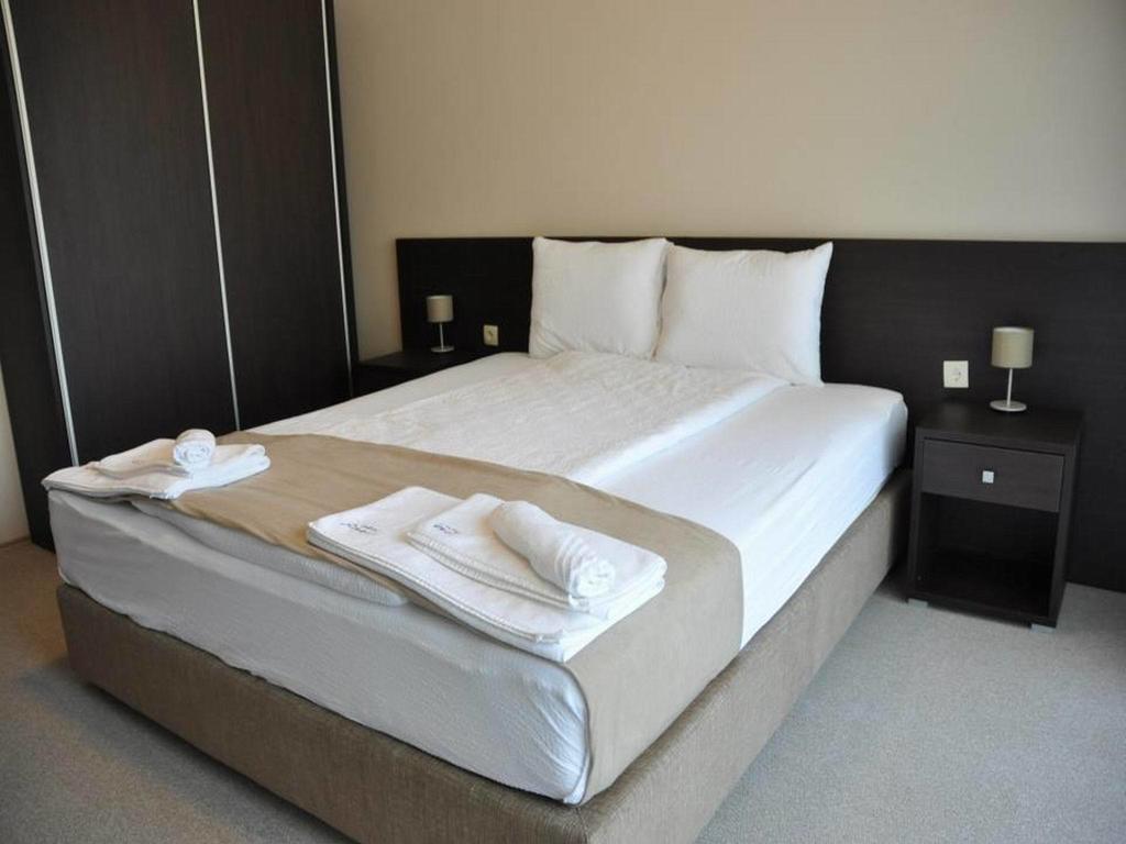Hotel Jezero 보르 객실 사진