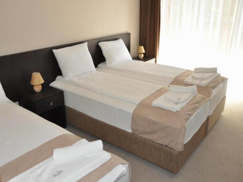Hotel Jezero 보르 객실 사진